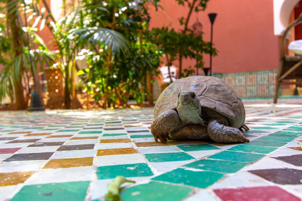 Riad Kaiss By Anika มาร์ราเกช ภายนอก รูปภาพ